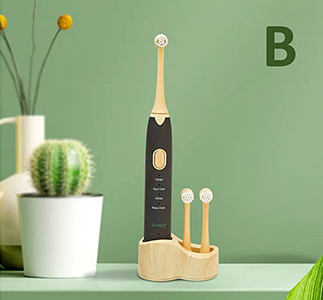 Fully biodegradable electric toothbrush and toothbrush heads 