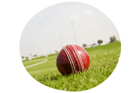 Cricket ball on cricket pitch