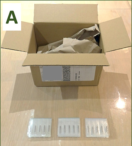 Cardboard box and packaging for dental burs