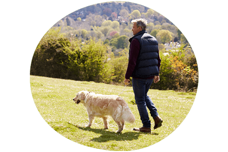 Man and his dog walking through the countryside in the sun