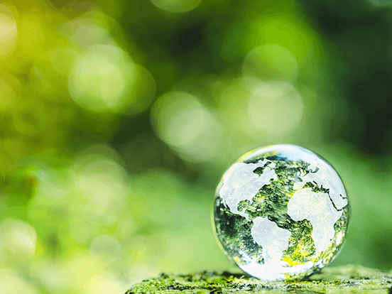 Glass globe in forest