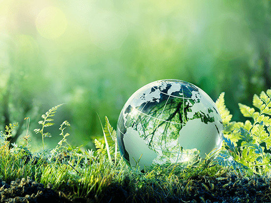Green globe in forest