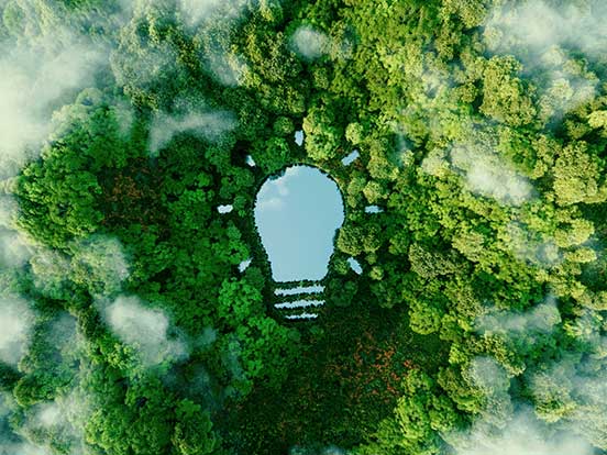Light bulb shaped lake in a forest